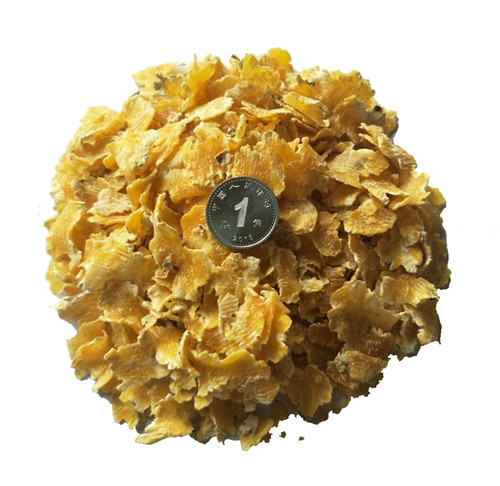 ��Ƭ����